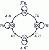 Figure 45 - Transition graph