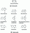 Figure 2 - Examples of aromatic structures