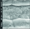 Figure 8 - MLCC electrode/dielectric layer/electrode microstructure (after [21])