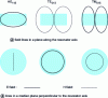 Figure 15 - Schematic electric and magnetic field lines for the 3 neighboring modes in a closed cavity (after [2])