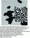 Figure 11 - Polar Kerr image of an ultrathin Pt/Co (1.4 nm)/Pt film with perpendicular anisotropy, partially nanostructured into a checkerboard pattern by FIB (after J.-P. Jamet, J. Ferré)