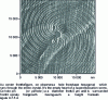 Figure 5 - Observation of a micropipe under an atomic force microscope, from reference [89].