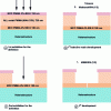 Figure 18 - Descriptive diagrams of the technological realization of a T-grid of less than 100nm