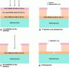 Figure 18 - Descriptive diagrams of the technological realization of a T-grid of less than 100 nm