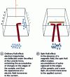 Figure 6 - Comparison of the ordinary Hall effect and the spin Hall effect