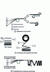 Figure 5 - Examples of battery assembly technologies