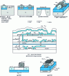 Figure 3 - Examples of innovative SOI components