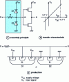 Figure 7 - Protection circuit