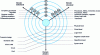 Figure 2 - Y diagram