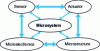 Figure 1 - Schematic representation of a microsystem