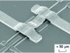 Figure 19 - Example of a micromechanical resonator 