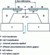 Figure 10 - Piezoresistive pressure sensor