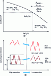 Figure 5 - Correspondence between coefficient R and SpO2(Lee, ICT Express 2016, (open access)[39]