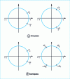 Figure 19 - Transformations of a low-pass filter. Conservation of the z-plane