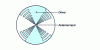 Figure 117 - Self-complementing log-periodic antenna