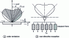 Figure 6 - Synthetic network: "coloured" emission, non-directive reception