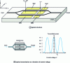 Figure 10 - Mach-Zehnder modulator