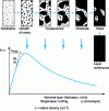 Figure 2 - Islet density n as a function of coverage  during three-dimensional growth (from [9])