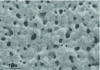 Figure 17 - SEM (scanning electron microscope) image of a joint obtained using the LTPST process [29].