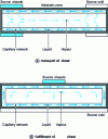 Figure 35 - Operating principle of a heat pipe: (a) heat transport and (b) heat release [60].