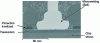 Figure 11 - Scanning electron microscope microsection view of a passivation layer and a flat die coat (localized chip protection) (source Thales)