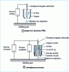 Figure 6 - Torches for argon-arc and miniplasma welding