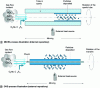 Figure 15 - Schematic diagram of internal and external deposition methods