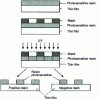 Figure 11 - Masking principle