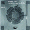 Figure 32 - Toroidal magnetic component on silicon with a Ni-Zn ferrite core [77].