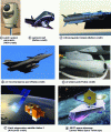 Figure 19 - Examples of systems using quantum detectors