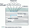 Figure 7 - Serial scan