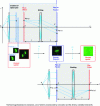 Figure 6 - Illustration of multiple exposure by position shift