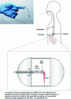 Figure 11 - Endoscopic capsule OCT device