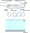 Figure 2 - Principle of airborne laser bathymetry