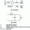 Figure 15 - Equivalent circuit diagrams of figure  in the low-frequency approximation