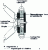 Figure 6 - Cross-section showing the classic magnetic circuit layout of a moving-coil loudspeaker