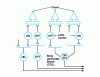 Figure 5 - Schematic ON-OFF system for cones