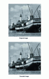Figure 22 - Example of an image decoded by DCT linear transformation