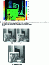 Figure 21 - Images produced by a Raytrix R5 plenoptic camera