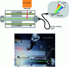 Figure 25 - Experimental bench for measuring light propagation in fiber