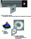 Figure 12 - Laser inscription of buried waveguides