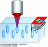 Figure 14 - Conceptual scheme for writing optical memory