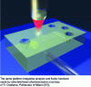 Figure 16 - Conceptual diagram of the optofluidics theme