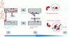 Figure 3 - Overview of excitation and relaxation processes in a dielectric material in relation to time, with the main photo-excitation and relaxation channels.