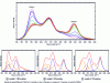 Figure 24 - Raman spectra of PVDF-PMMA samples with different proportions of α, β and amorphous phases.