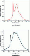 Figure 17 - Near-infrared emission spectrum 2F5/2 → 2F7/2 of the Yb3+ ion in aluminosilicate glass (a ) and cooperative luminescence emission spectra (b ) obtained experimentally (solid line) and by autoconvolution (dotted line) of the near-infrared emission spectrum (after [12]).