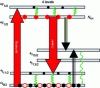 Figure 24 - Schematic diagram of the energy levels of the Nd3+ ion, showing in particular the details of the non-radiative relaxation processes in the high, low and intermediate levels leading to heating of the material.