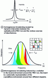 Figure 11 - Illustration of the two optical line broadening effects