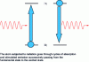 Figure 4 - Schematic diagram of Rabi oscillations