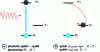 Figure 7 - Diagram of the conversion of a photonic qubit into an electronic qubit (a) and then into a nuclear qubit by a Raman pulse (b ).